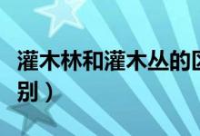 灌木林和灌木丛的区别（乔木林与灌木林的区别）