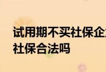 试用期不买社保企业有什么风险 试用期不买社保合法吗