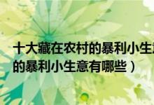 十大藏在农村的暴利小生意（农村新型不起眼的商机不起眼的暴利小生意有哪些）