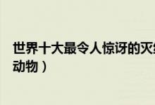 世界十大最令人惊讶的灭绝动物（令人惊奇的已灭绝的十种动物）