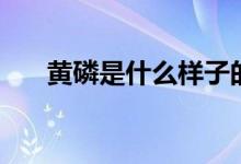 黄磷是什么样子的（黄磷是什么物质）