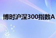 博时沪深300指数A（050002）持有人结构