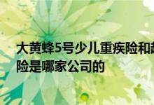 大黄蜂5号少儿重疾险和超级宝宝 北京大黄蜂5号少儿重疾险是哪家公司的