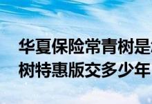 华夏保险常青树是怎样交费的 华夏保险常青树特惠版交多少年