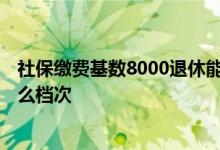社保缴费基数8000退休能拿多少钱 社保缴费基数8000是什么档次 