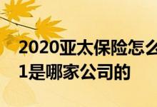 2020亚太保险怎么样可靠吗 亚太学平险2021是哪家公司的