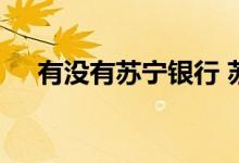 有没有苏宁银行 苏宁银行是实体银行吗