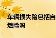车辆损失险包括自燃险吗 车辆损失险包括自燃险吗
