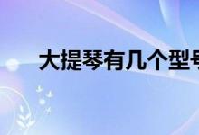 大提琴有几个型号（大提琴有几根弦）