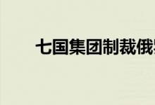 七国集团制裁俄罗斯贵金属日线分析