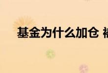 基金为什么加仓 被基金加仓的股票好吗