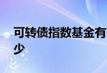 可转债指数基金有哪些 可转债指数代码是多少
