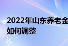 2022年山东养老金调整方案即将出炉 今年会如何调整 