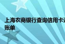 上海农商银行查询信用卡进度 怎么查上海农商银行的信用卡账单