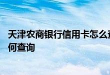 天津农商银行信用卡怎么查额度 天津农商银行信用卡账单如何查询