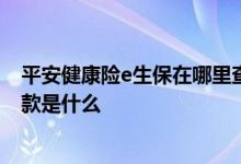 平安健康险e生保在哪里查看 平安健康险e生保2022续保条款是什么