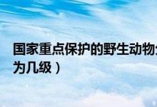 国家重点保护的野生动物分卫（国家重点保护的野生动物分为几级）