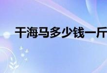 干海马多少钱一斤（揭海马不适宜人群）