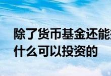 除了货币基金还能投什么 除了货币基金还有什么可以投资的