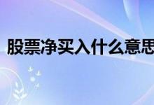 股票净买入什么意思 股票净买入什么意思啊