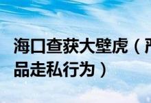 海口查获大壁虎（严厉打击大壁虎等野生干制品走私行为）