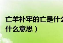 亡羊补牢的亡是什么意思啊（亡羊补牢的亡是什么意思）