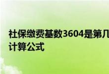 社保缴费基数3604是第几档 社保基数3604退休能领多少钱计算公式 