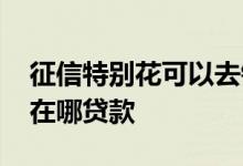 征信特别花可以去银行贷款吗 征信特别花能在哪贷款
