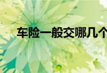 车险一般交哪几个险 车险一般交哪几个