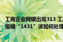 工商企业网银出现313 工商银行：使用企业网银结汇时系统报错“1431”该如何处理