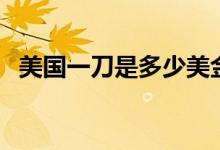 美国一刀是多少美金（美国一刀是多少钱）