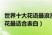 世界十大花语最浪漫的花（什么花最浪漫这些花最适合表白）