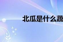 北瓜是什么蔬菜（北瓜是什么）