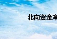 北向资金净流入超50亿元
