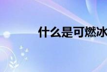 什么是可燃冰（什么是可燃冰）