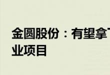 金圆股份：有望拿下阿根廷尽调公司1-2个矿业项目