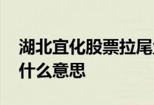 湖北宜化股票拉尾盘什么意思 拉尾盘的股票什么意思