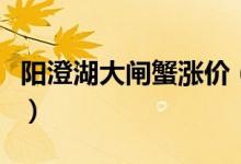阳澄湖大闸蟹涨价（今年大闸蟹价格上涨多少）