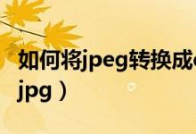 如何将jpeg转换成excel（如何将jpeg转换成jpg）