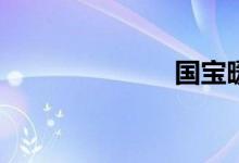 国宝暖护什么？