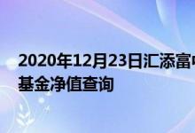 2020年12月23日汇添富中证主要消费ETF联接（000248）基金净值查询