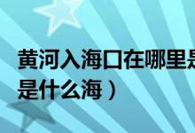 黄河入海口在哪里是什么海（黄河入海口指的是什么海）