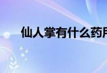 仙人掌有什么药用（仙人掌有叶子吗）