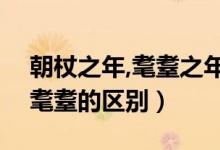 朝杖之年,耄耋之年是指多少岁? ( )（杖朝和耄耋的区别）