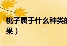 桃子属于什么种类的（桃子属于什么种类的水果）