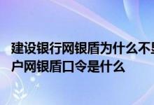 建设银行网银盾为什么不显示口令 建设银行：请问默认的用户网银盾口令是什么