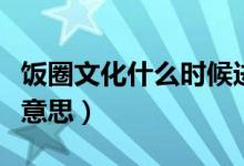 饭圈文化什么时候进入体育圈（饭圈文化什么意思）