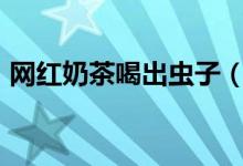 网红奶茶喝出虫子（赔偿840元双方已和解）