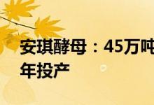安琪酵母：45万吨水解糖产能预计今年下半年投产