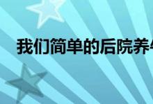 我们简单的后院养牛投资回报率超过66%